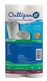 Culligan P5-D Level 4 Whole House Filter Replacement Cartridge (2-Pack)
