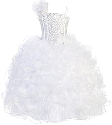 Girls  Corset   Waistline Organza  Beaded  Ball Gown Pageant Dress/Prom Dress  With Ruffles