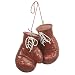 Boxing Glove