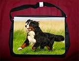 Eigenschaften Das Tierporträt  / Kollegtasche, Tasche Berner Sennenhund