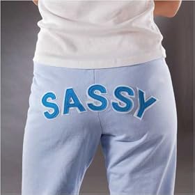 TERMINOLOGY IRON-ON WORDS-SASSY