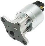 Delphi EG10176 EGR Valve