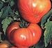 Hillbilly Tomato 4 Plants - Originated in Ohio! - ORDER NOW!