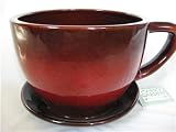 Outdoor Living : Red Coffee Cup Teacup Planter