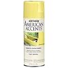 Rust-Oleum 7932830 American Accents Spray, Satin Summer Squash, 12-Ounce