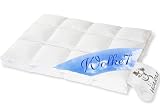 WOLKE 7 - 975.52.005 WARM Kassettendecke 4x6 Karos / 135x200 cm / 1.100 gr.