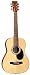 J. Reynolds 36-inch Student Acoustic Guitar - Steel-string