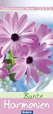 Bunte Harmonien 2011: Postkartenkalender Blumenmotive mit Bibelversen - 