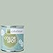 Inspired Eggshell Interior Colorspot Paint Sample, Water .02,  8-oz