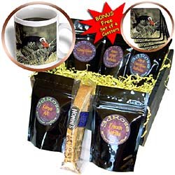 Birds - Wild Turkey Gobbler - Coffee Gift Baskets - Coffee Gift Basket by Decaf Espresso Roast