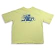 Dogwood Clothing - Boys Short Sleeve Dinosaur Tee Shirt, Yellow