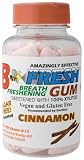 B-Fresh Inc - Cinnamon Gum, 100 gum