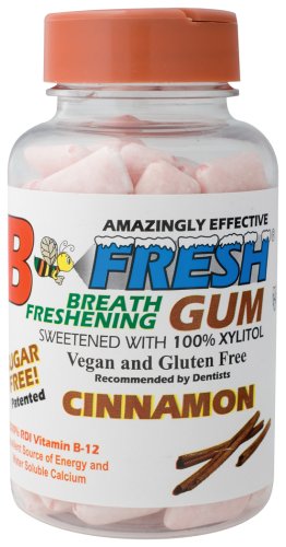 B-Fresh Inc - Cinnamon Gum, 100 gum
