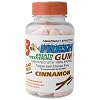 B-Fresh Inc - Cinnamon Gum, 100 gum