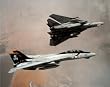 F-14 Tomcats (In Air) Art Poster Print - 13x19