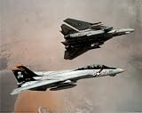F-14 Tomcats (In Air) Art Poster Print - 13x19