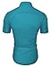TAM WARE Men's Short Sleeve Wrinkle Free Button Down Shirt (Large, Azure)