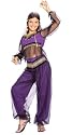 Harem Costume