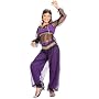 Harem Costume