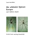 Die sch�nsten Spinnen Europas nach Farbfotos erkannt