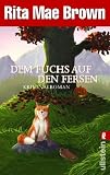 Dem Fuchs auf den Fersen