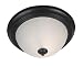 Hunter Kenroy 80390GBRZ Interlude Residential Ceiling Lighting Fixture 15 PERCENT OFF...