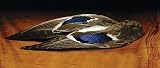 Mallard Whole Wing Pair ::: Feather ::: Fly Tying Material