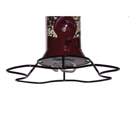 Droll Yankees VP Versa Perch