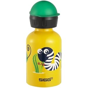 SIGG .3 Litre Aluminum Bottle (Desert Fun)