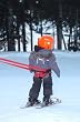 RC Ultimate Kid's Ski Harness Training Leash