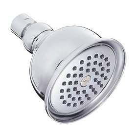 Danze D462157 Victorian Style Water Saver Showerhead, Chrome