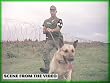 Dogs Of The Vietnam War: Scout, Sentry & Patrol