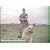 Dogs Of The Vietnam War: Scout, Sentry & Patrol