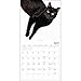 2016 Black Cats on White Calendar