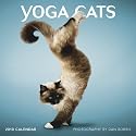 Yoga Cats 2010 (Wall Calendar)