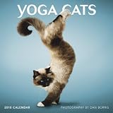 Yoga Cats 2010 Square Wall (Wall Calendar) (Multilingual Edition)