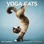 Yoga Cats 2010 Square Wall (Wall Calendar) (Multilingual Edition)