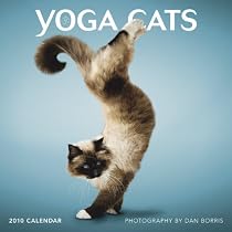 Yoga Cats 2010 Square Wall (Wall Calendar) (Multilingual Edition)