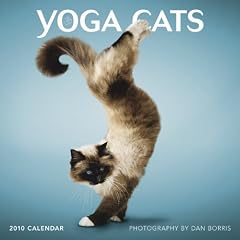Yoga Cats 2010 (Wall Calendar)