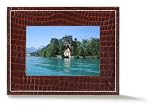 Parrot 7-Inch Digital Photo Frame (Chocolate Salamander)