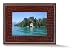 Parrot 7-Inch Digital Photo Frame (Chocolate Salamander)