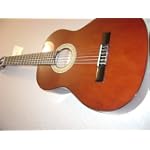 Palmer Acoustic Classical Guitar with Bag
