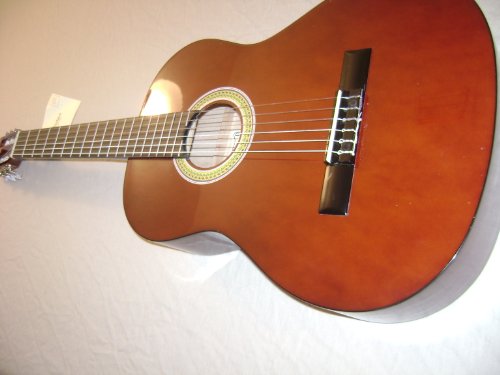 Palmer Acoustic Classical Guitar with Bag
