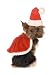 Mrs. Santa Paws Pet Costume