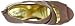 Seychelles Women's Risky Business Wedge Sandal