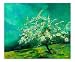 Apple Tree in Spring Landscape Giclee Poster Print by Pol Ledent, 20x16 Image