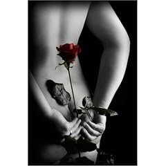 Poster Secret Rose in der Gr��e (BxH): 61 x 91.5 cm