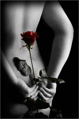 Produkt-Bild: Poster Secret Rose in der Gr&ouml;&szlig;e (BxH): 61 x 91.5 cm