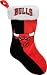 Chicago Bulls 2009 Colorblock Stocking