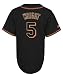 David Wright New York Mets Terra Replica Jersey (Large)